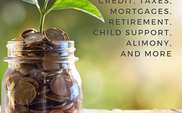 Rebuild Your Financial Future After Divorce and Embrace a New Beginning